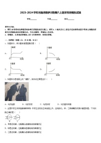 2023-2024学年河南洛阳伊川物理八上期末检测模拟试题含答案