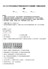 2023-2024学年河北省邢台市宁晋县东城实验中学八年级物理第一学期期末质量检测试题含答案