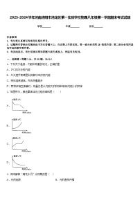 2023-2024学年河南洛阳市洛龙区第一实验学校物理八年级第一学期期末考试试题含答案