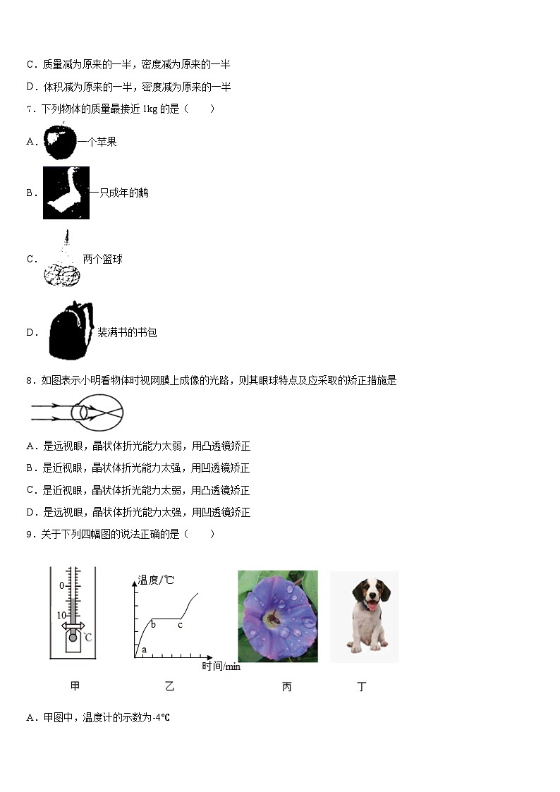 2023-2024学年河南省扶沟县八上物理期末学业质量监测模拟试题含答案02