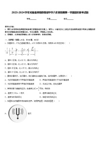 2023-2024学年河南省淮阳县羲城中学八年级物理第一学期期末联考试题含答案