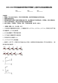 2023-2024学年河南省林州市阜民中学物理八上期末学业质量监测模拟试题含答案