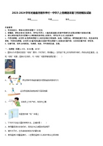 2023-2024学年河南省洛阳市李村一中学八上物理期末复习检测模拟试题含答案