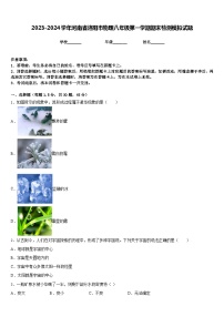 2023-2024学年河南省洛阳市物理八年级第一学期期末检测模拟试题含答案