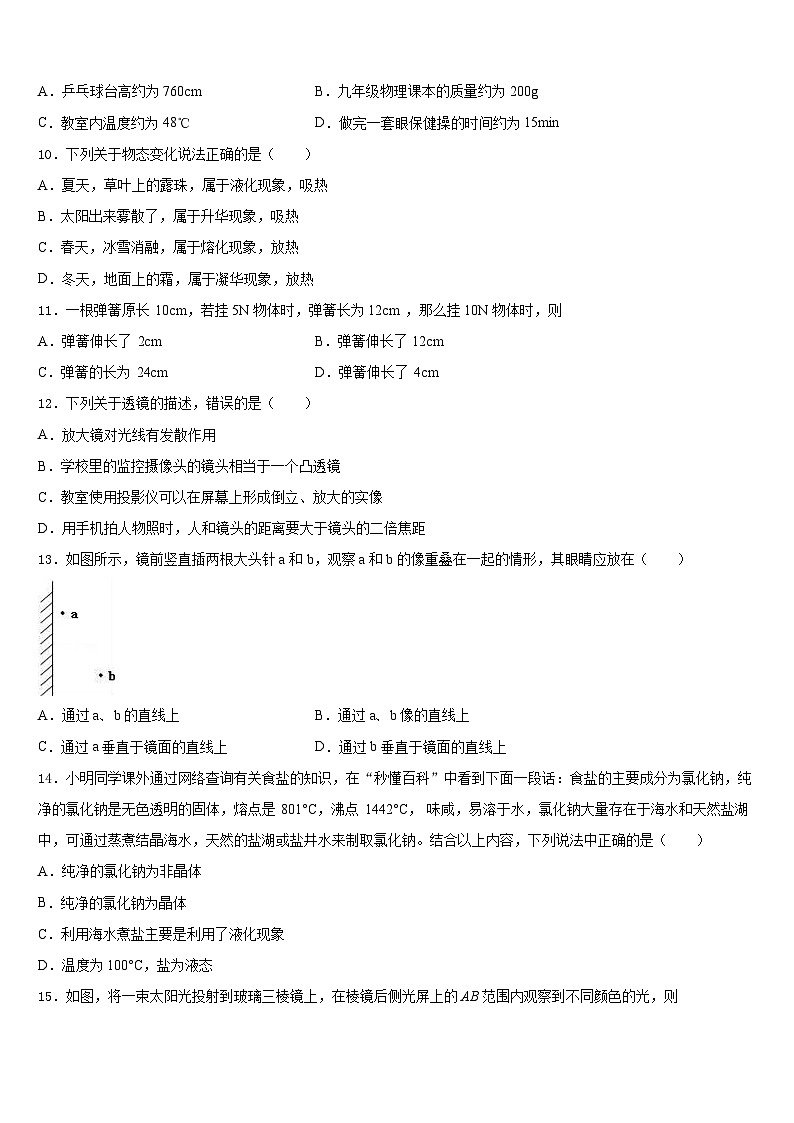 2023-2024学年河南省平顶山宝丰县联考物理八上期末经典试题含答案第3页