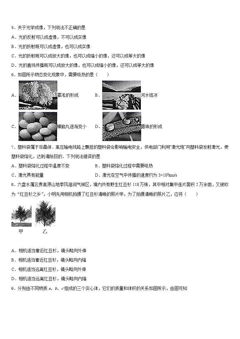 2023-2024学年河南省平顶山市第四十三中学八上物理期末学业质量监测试题含答案第2页