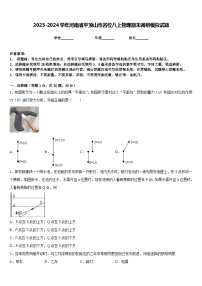 2023-2024学年河南省平顶山市名校八上物理期末调研模拟试题含答案