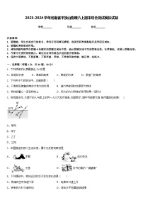 2023-2024学年河南省平顶山物理八上期末综合测试模拟试题含答案