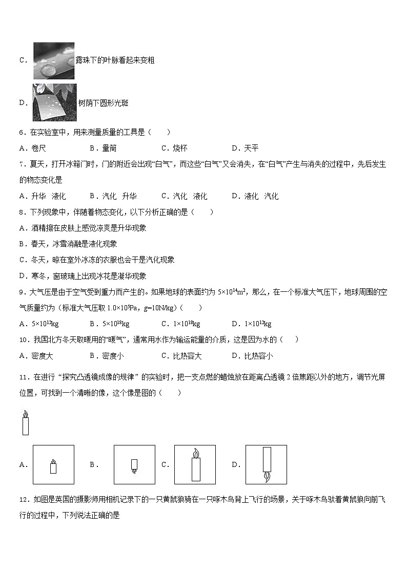 2023-2024学年河南省商丘市梁园区物理八上期末检测模拟试题含答案03