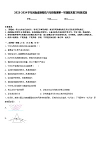 2023-2024学年河南省原阳县八年级物理第一学期期末复习检测试题含答案