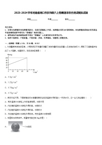 2023-2024学年河南省周口市扶沟县八上物理期末综合测试模拟试题含答案