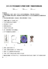 2023-2024学年河南省新乡七中物理八年级第一学期期末检测模拟试题含答案