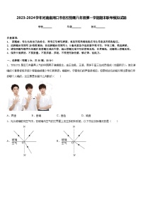 2023-2024学年河南省周口市名校物理八年级第一学期期末联考模拟试题含答案