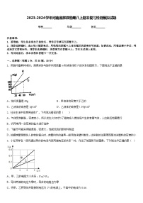 2023-2024学年河南省辉县物理八上期末复习检测模拟试题含答案