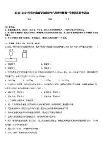 2023-2024学年河南省罗山县联考八年级物理第一学期期末联考试题含答案