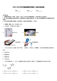 2023-2024学年河南省濮阳市物理八上期末经典试题含答案