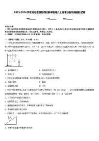 2023-2024学年河南省濮阳县区联考物理八上期末达标检测模拟试题含答案