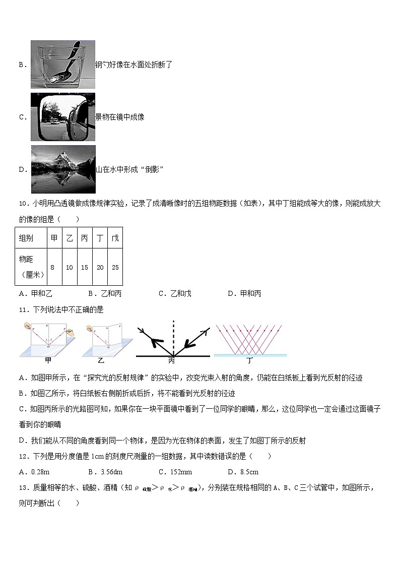 2023-2024学年浙江嵊州蒋镇学校八上物理期末综合测试模拟试题含答案第3页