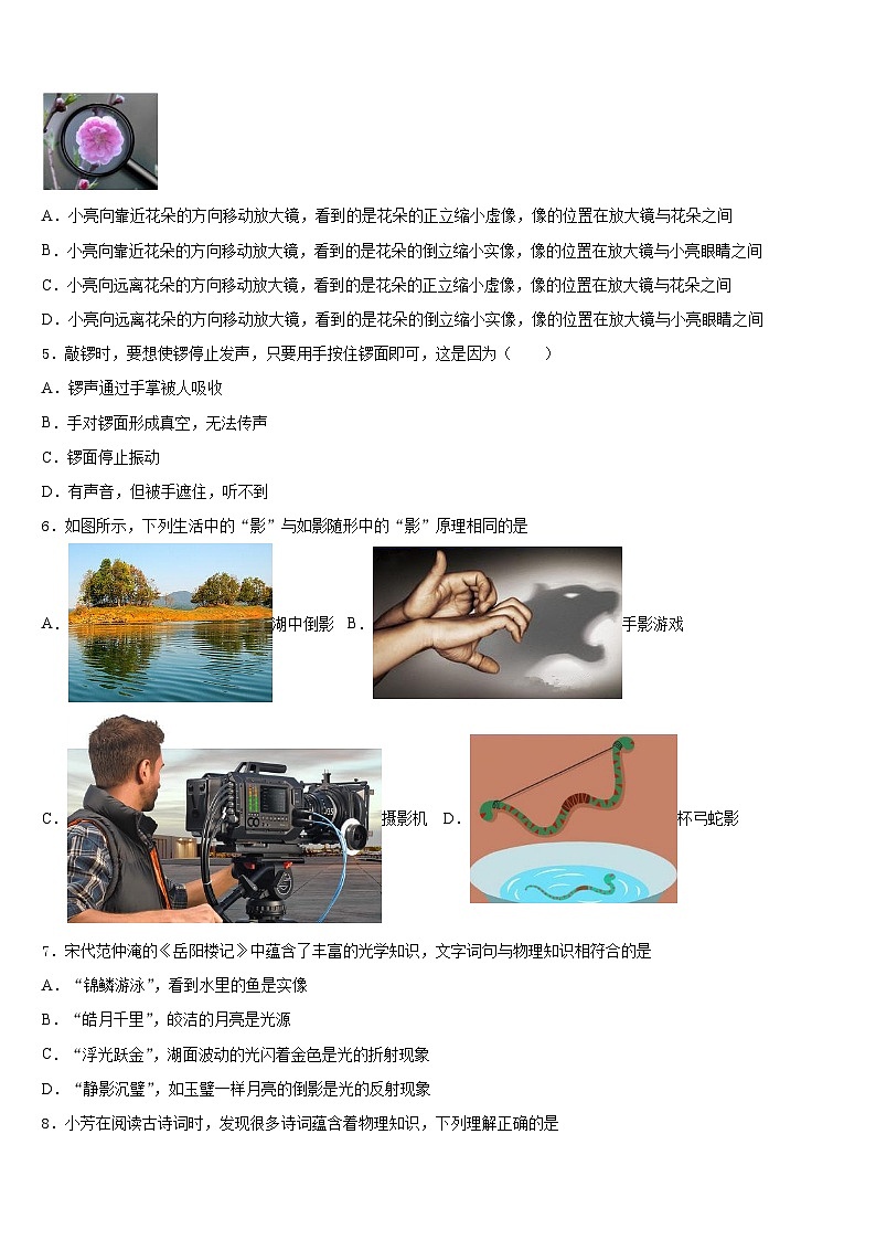 2023-2024学年浙江省嘉兴市秀洲区物理八上期末质量检测试题含答案第2页