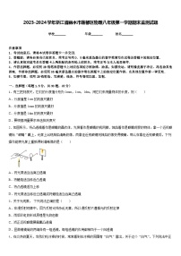 2023-2024学年浙江省丽水市莲都区物理八年级第一学期期末监测试题含答案