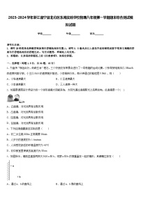 2023-2024学年浙江省宁波北仑区东海实验学校物理八年级第一学期期末综合测试模拟试题含答案