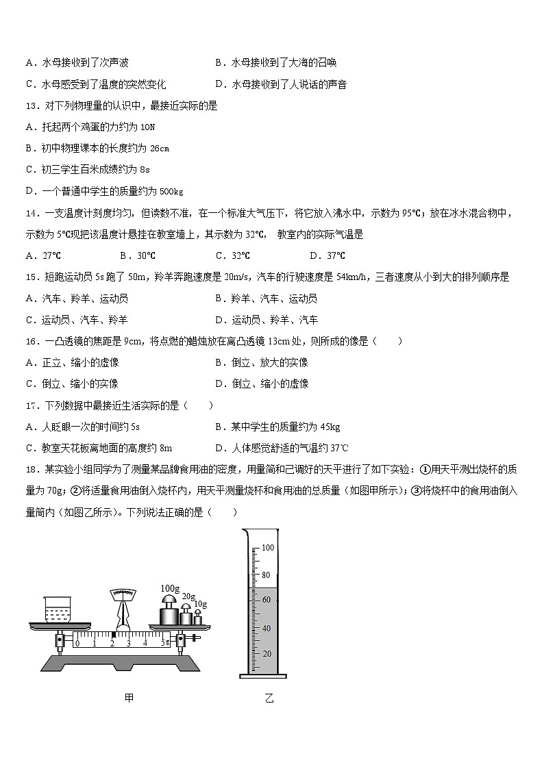 2023-2024学年浙江省台州温岭市第三中学物理八上期末统考试题含答案第3页