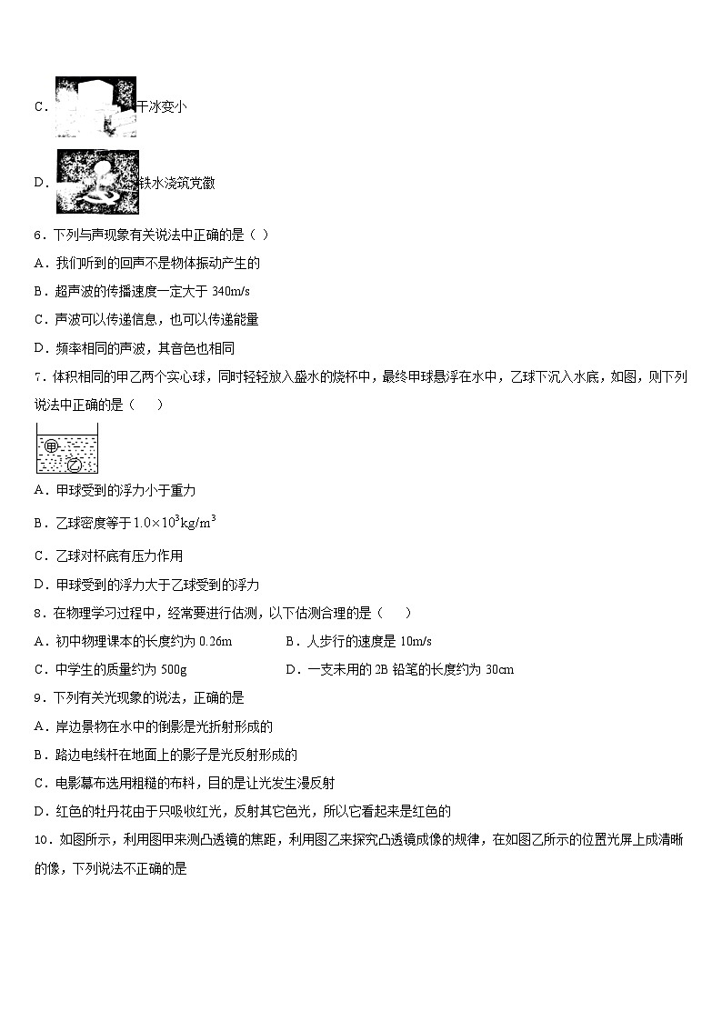 2023-2024学年海南省海口市美兰区八上物理期末调研模拟试题含答案第2页