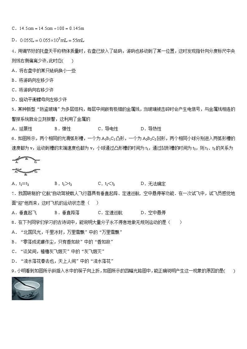 2023-2024学年海南省三亚市妙联学校物理八上期末复习检测模拟试题含答案第2页