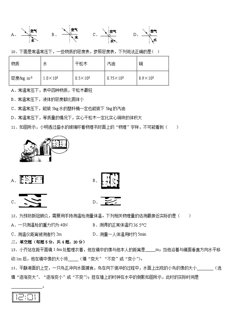 2023-2024学年海南省三亚市妙联学校物理八上期末复习检测模拟试题含答案第3页