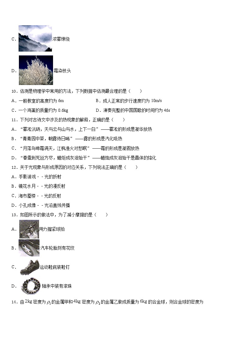 2023-2024学年湖北大悟书生学校物理八年级第一学期期末预测试题含答案第3页