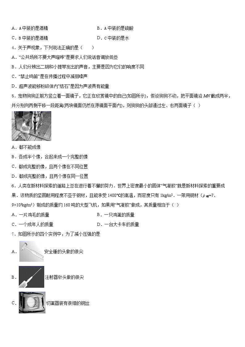 2023-2024学年深圳罗湖区五校联考八上物理期末质量检测试题含答案02