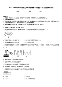 2023-2024学年深圳龙文八年级物理第一学期期末复习检测模拟试题含答案