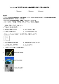 2023-2024学年浙江省诸暨市浬浦镇中学物理八上期末调研试题含答案