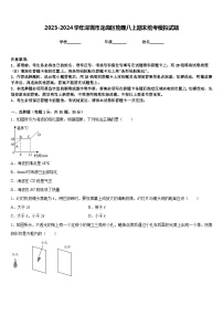 2023-2024学年深圳市龙岗区物理八上期末统考模拟试题含答案