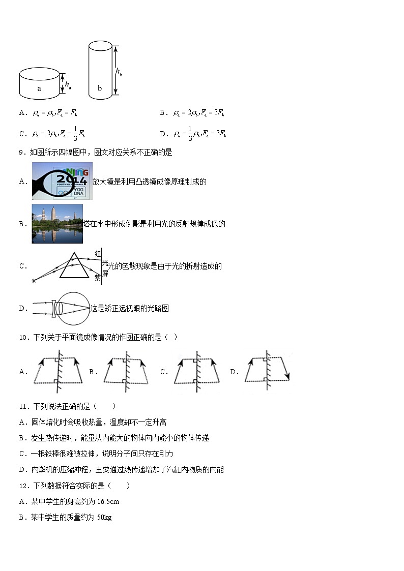 2023-2024学年深圳市龙岗区物理八上期末统考模拟试题含答案03