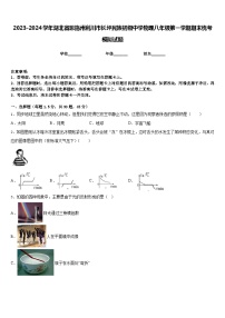 2023-2024学年湖北省恩施州利川市长坪民族初级中学物理八年级第一学期期末统考模拟试题含答案