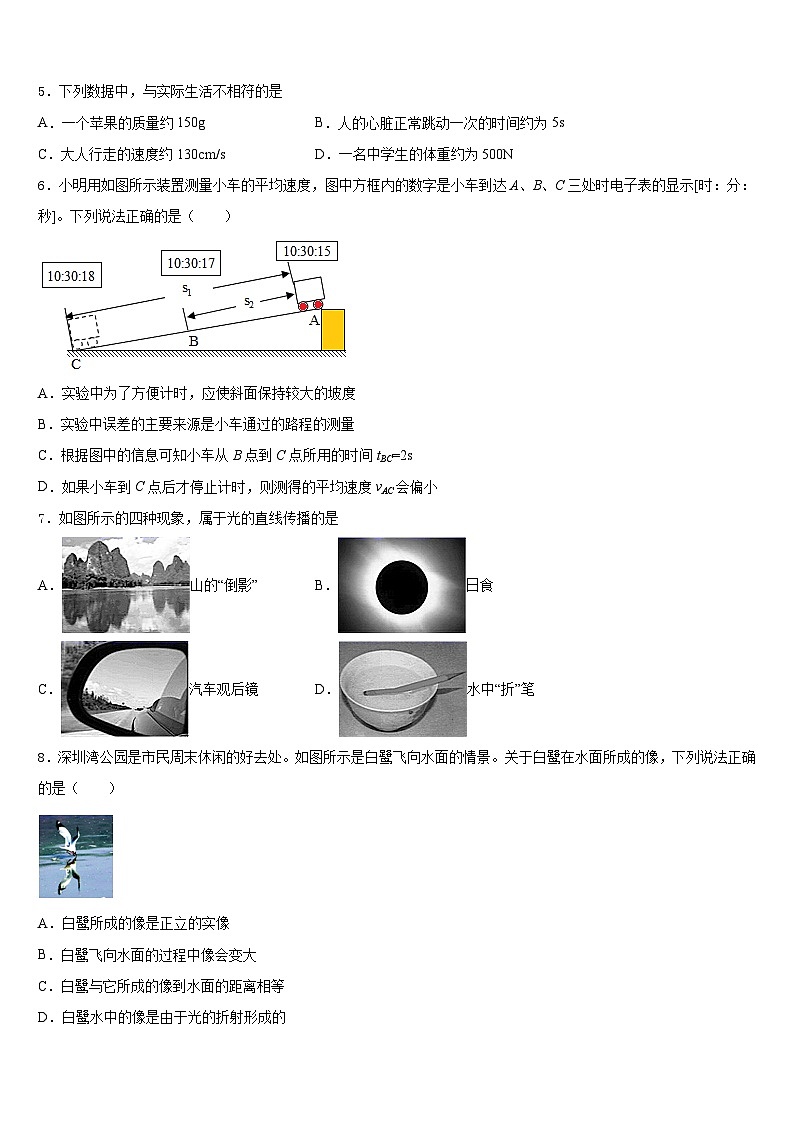 2023-2024学年湖北省恩施州名校物理八上期末质量检测试题含答案02
