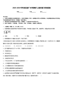 2023-2024学年湖北省广水市物理八上期末复习检测试题含答案