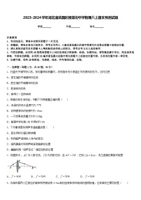 2023-2024学年湖北省武昌区粮道街中学物理八上期末预测试题含答案