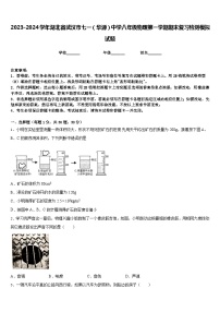 2023-2024学年湖北省武汉市七一（华源）中学八年级物理第一学期期末复习检测模拟试题含答案