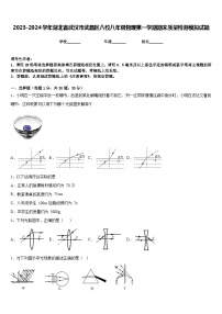 2023-2024学年湖北省武汉市武昌区八校八年级物理第一学期期末质量检测模拟试题含答案