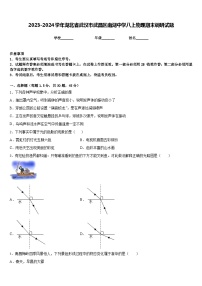 2023-2024学年湖北省武汉市武昌区南湖中学八上物理期末调研试题含答案