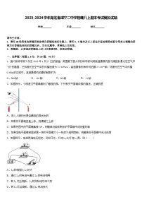 2023-2024学年湖北省咸宁二中学物理八上期末考试模拟试题含答案