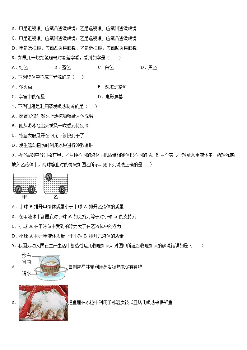 2023-2024学年湖北省宜昌市天问学校物理八上期末质量跟踪监视试题含答案第2页