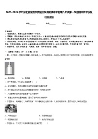 2023-2024学年湖北省宜昌市夷陵区东湖初级中学物理八年级第一学期期末教学质量检测试题含答案