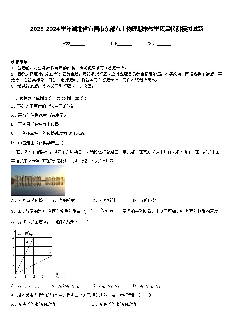 2023-2024学年湖北省宜昌市东部八上物理期末教学质量检测模拟试题含答案第1页