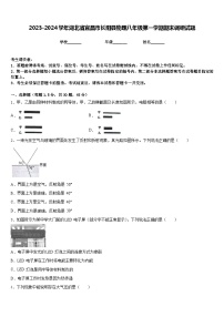 2023-2024学年湖北省宜昌市长阳县物理八年级第一学期期末调研试题含答案