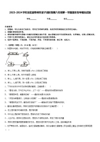 2023-2024学年湖北省鄂州市梁子湖区物理八年级第一学期期末统考模拟试题含答案