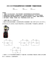 2023-2024学年湖北省鄂州市名校八年级物理第一学期期末检测试题含答案