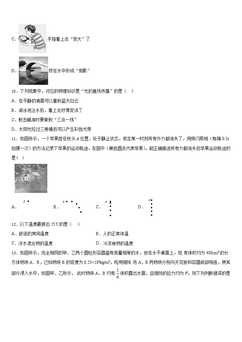 2023-2024学年湖北省黄冈市宝塔中学八上物理期末考试模拟试题含答案第3页